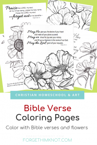 Read more about the article Bible Verse Coloring Books and Coloring Pages
