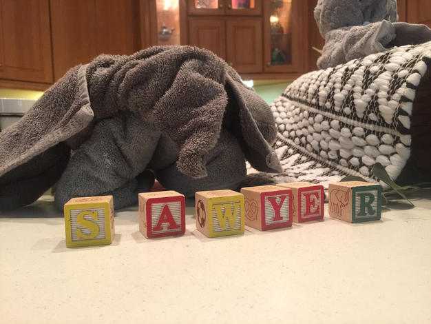 towel elephant