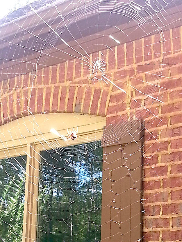 Read more about the article The Unfinished Web