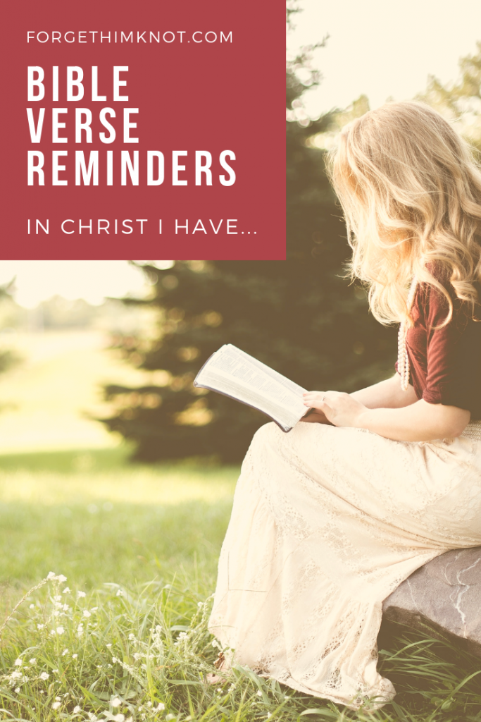 Bible verse reminders In Christ I have...