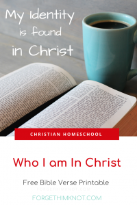 Read more about the article Who I am In Christ- Bible Verses for Identity