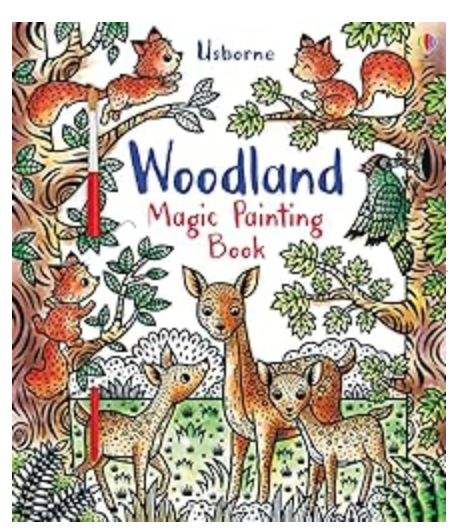 Woodland Magic Painting Book