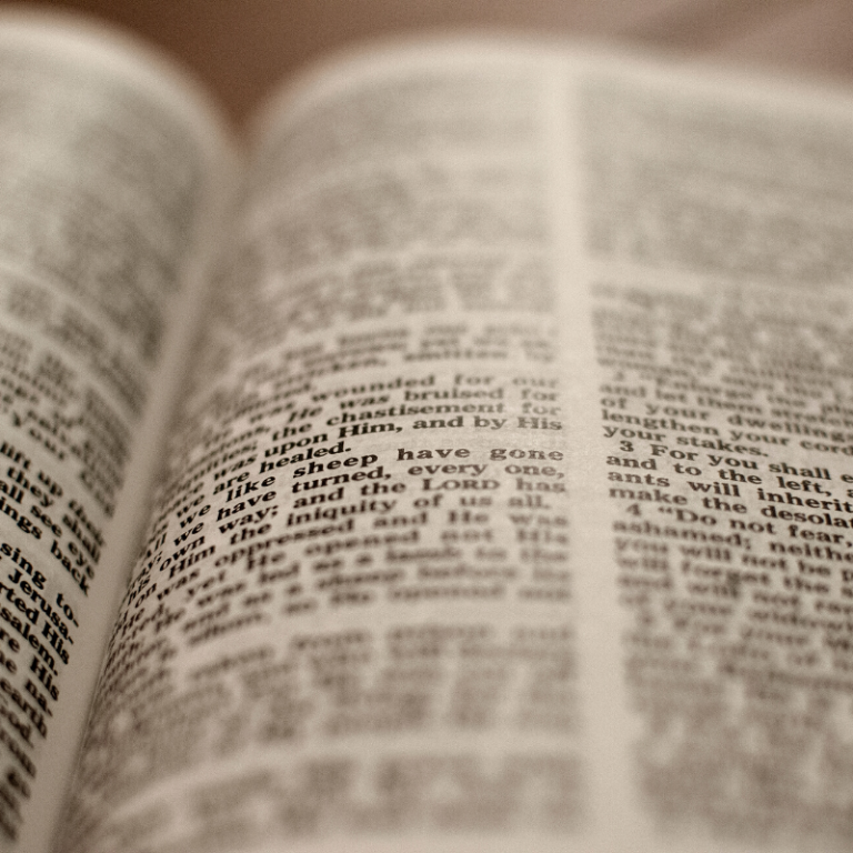 Bible study for beginners