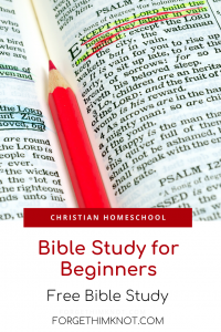 Read more about the article 7 Easy Steps Bible Study for Beginners And Free Bible Lesson