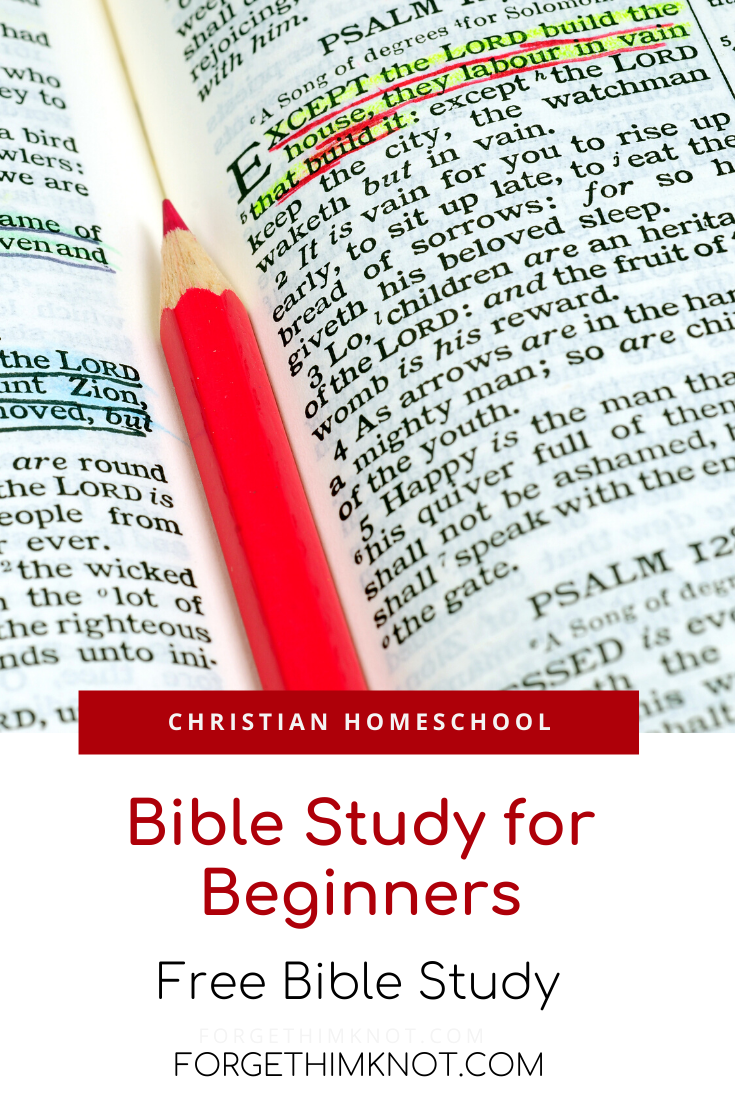 Bible study for beginners