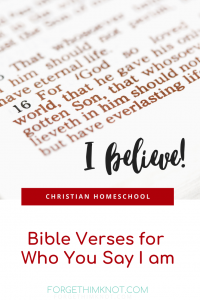 Read more about the article Who You Say I Am Bible Verses