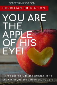 Read more about the article Remember Whose You Are as the Apple of His Eye Free Online Bible Study