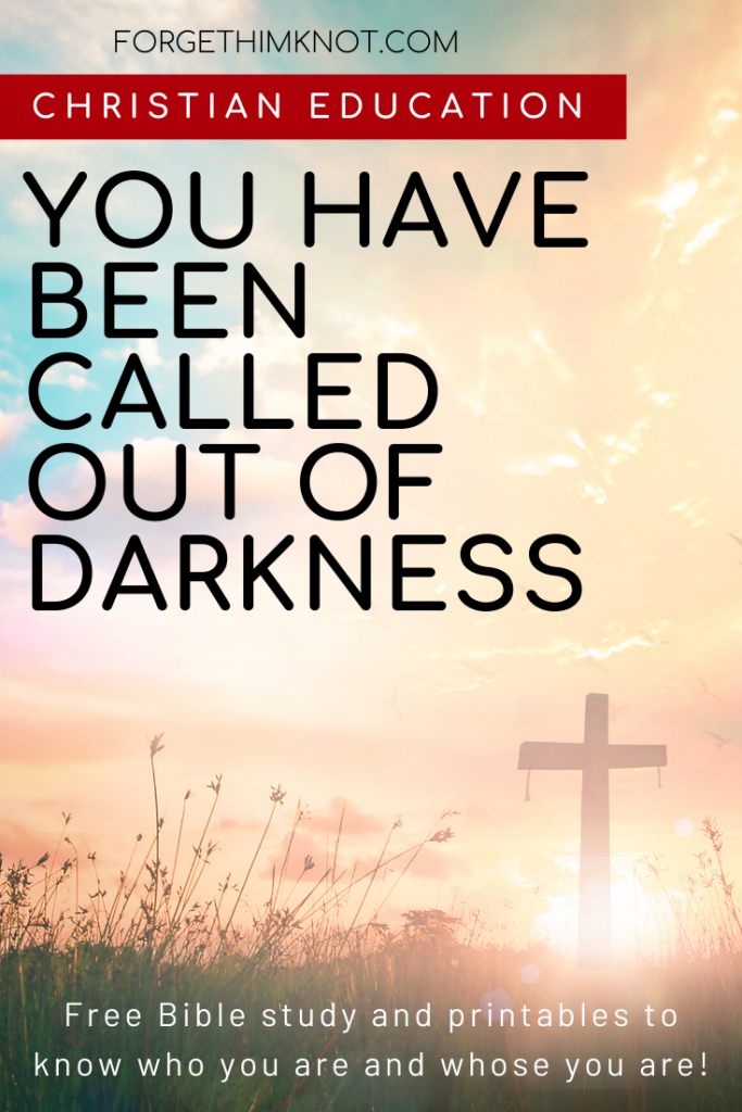 you have been called out of darkness