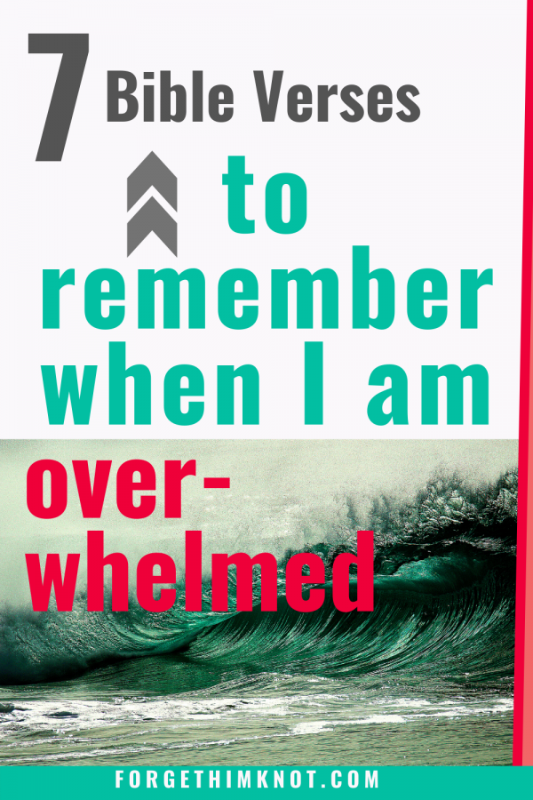 7 Bible Verses to Remember Who God is When You Feel Overwhelmed