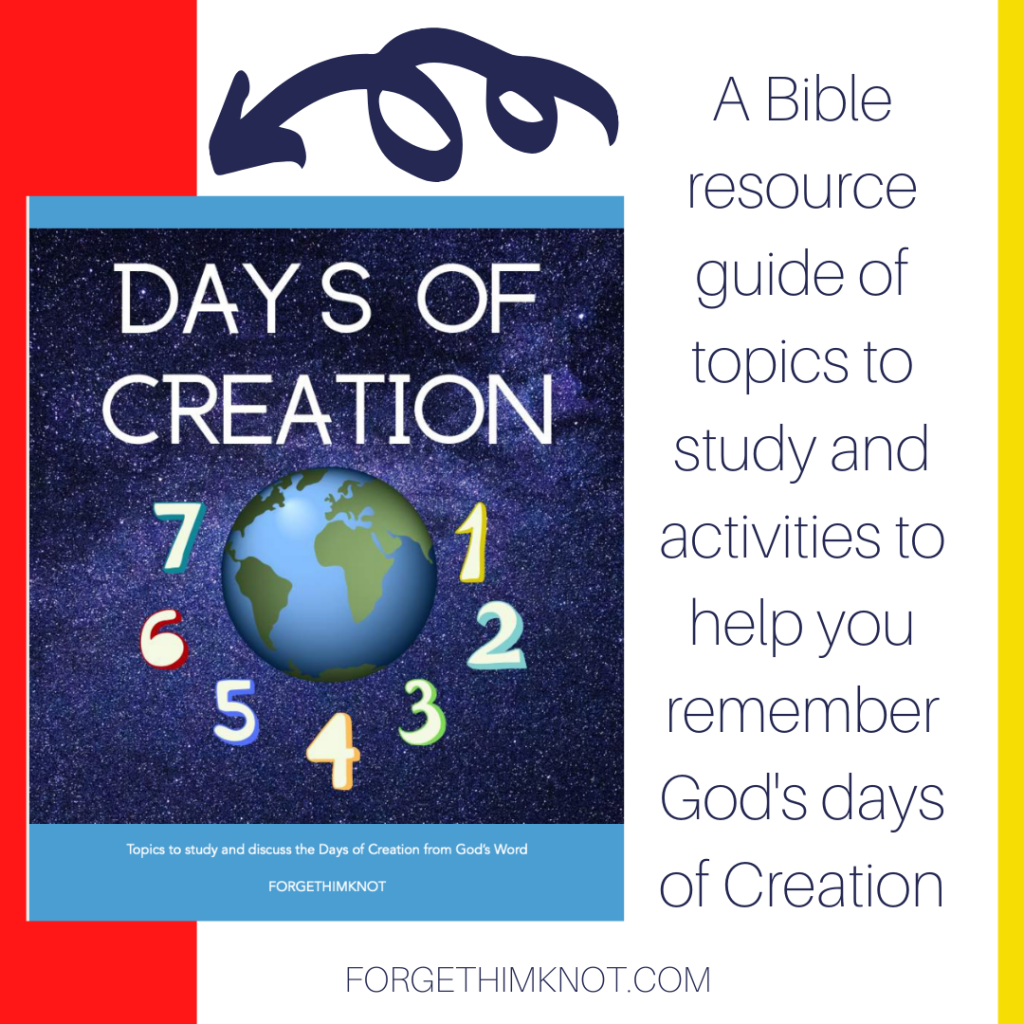 Days of Creation resource gide