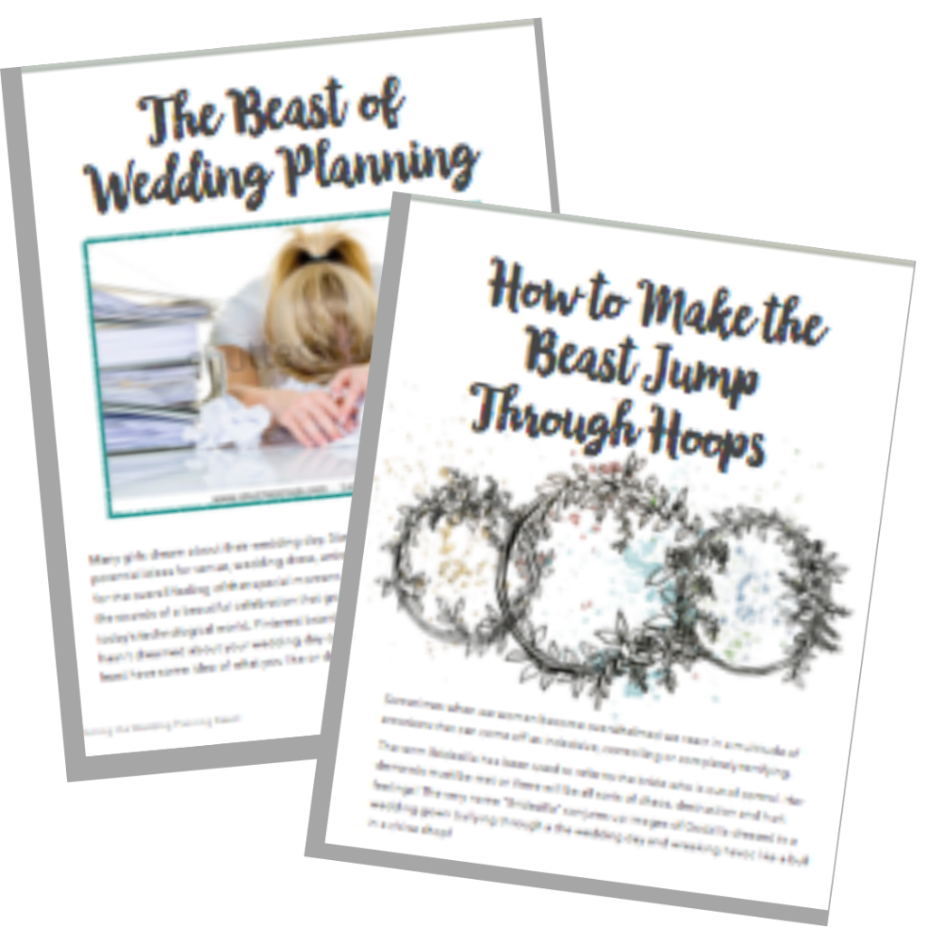 Taming the Wedding Planning Beast Guide
