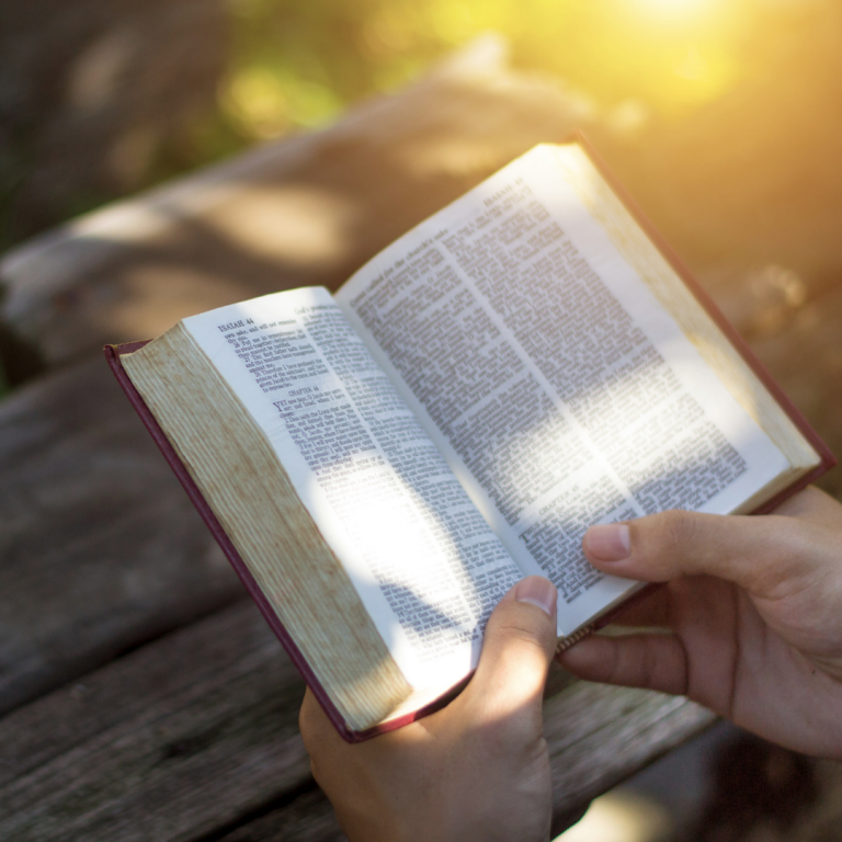 Read the Bible