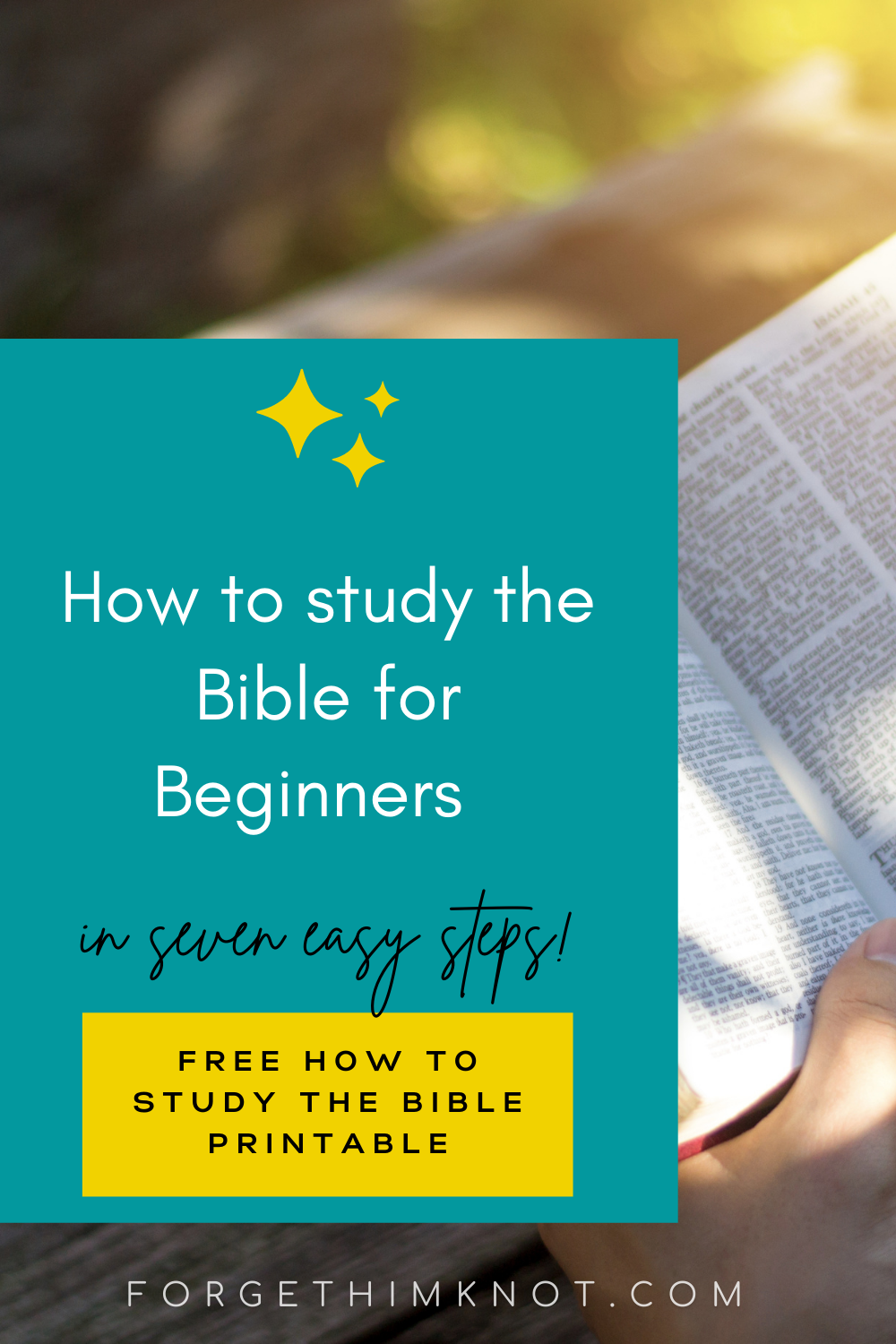 How to study the Bible for Beginners Pinterest Pin