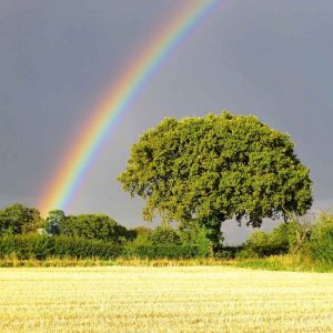rainbow from God's handiwork