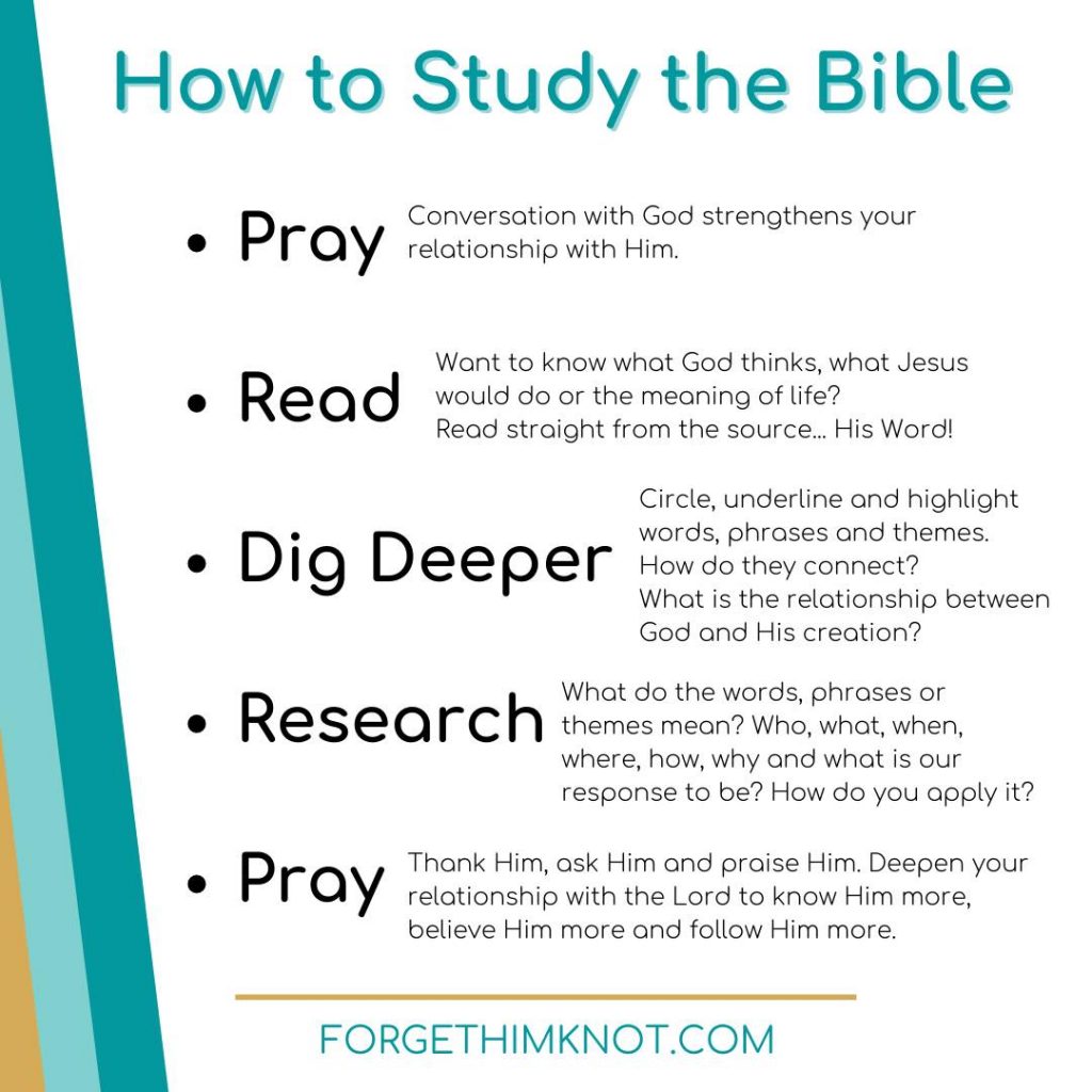 5 steps to beginning Bible study