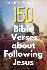 Read more about the article 150 Enlightening Bible Verses About Following Jesus