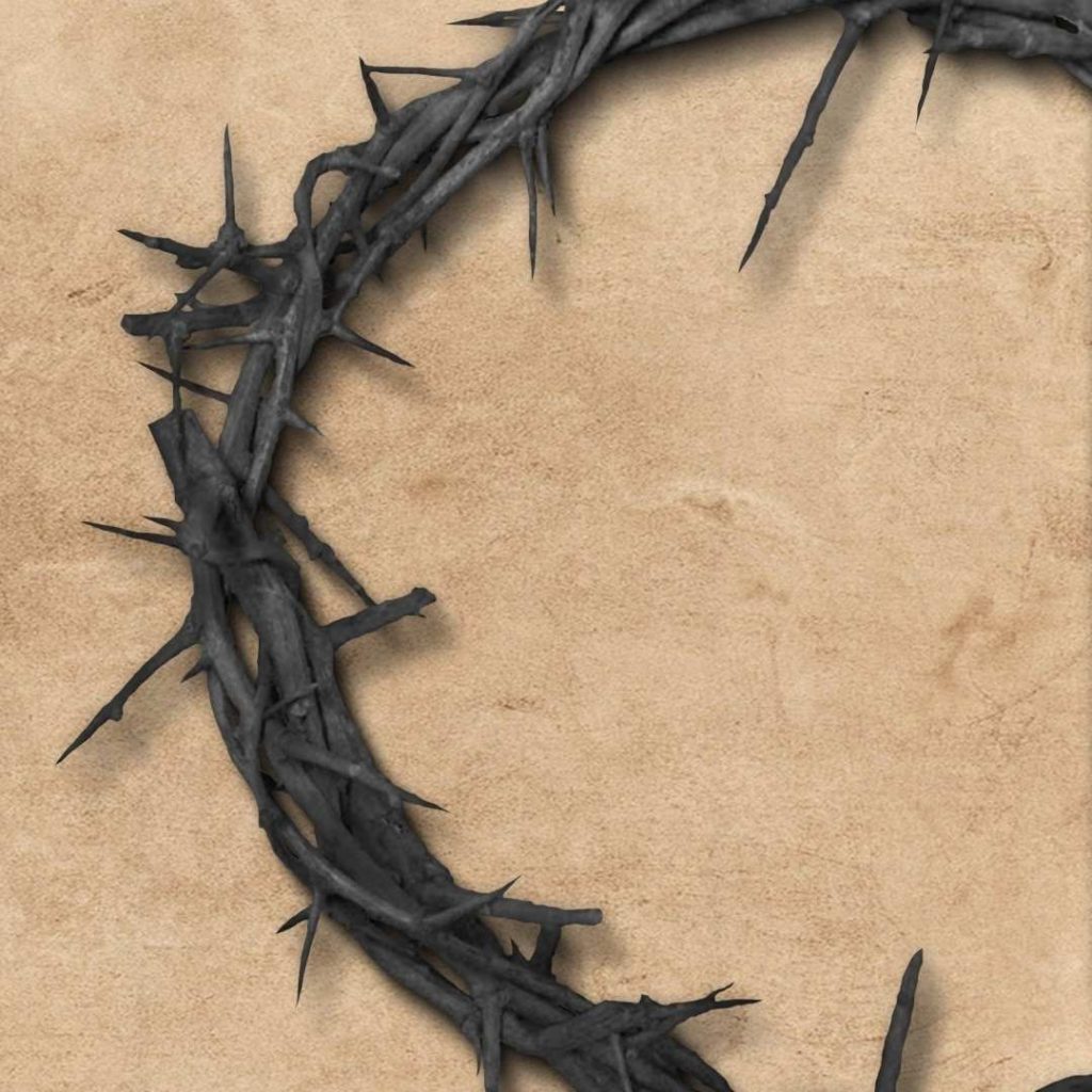 Crown of thorns