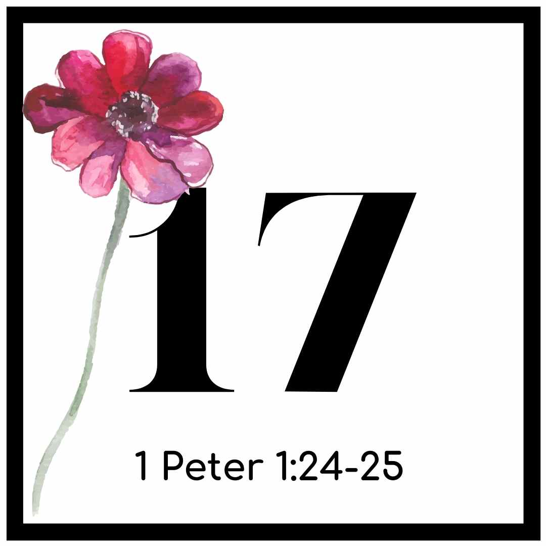Monthly Bible Verse Calendar- Daily Verse Reading, Printables and ...