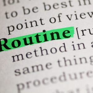 Definition of routine 