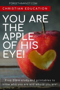 Psalm 17:8 Apple of God's eye Bible study 