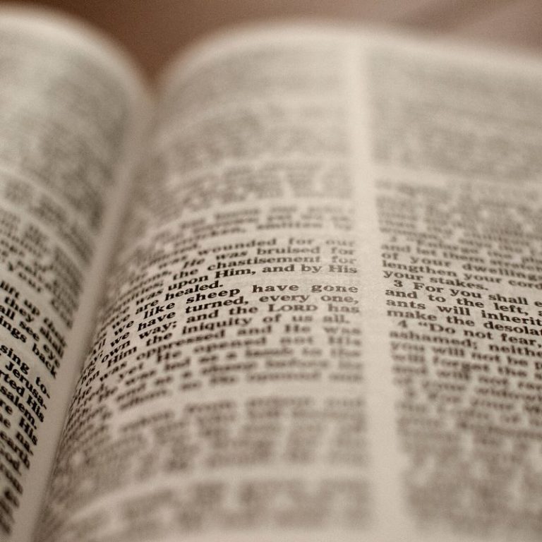 Bible study for beginners