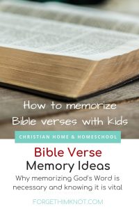 Bible study for beginners