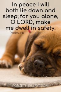 puppy sleeping in peace with Bible verse 