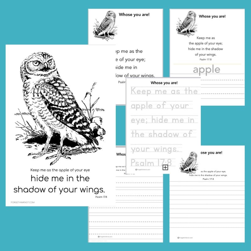 Apply of God's eye Bible verse printables