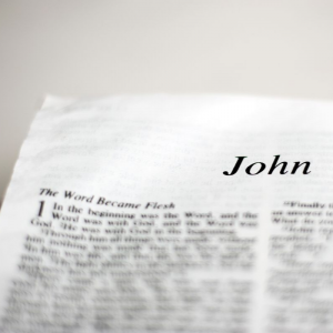 John 1:12 Bible study 