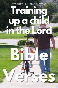Training up a child in the Lord