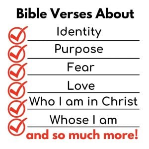 Read more about the article Bible Verses About: What the Bible Says