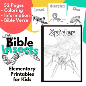 Insects Bible Verse Printables for Kids Elementary