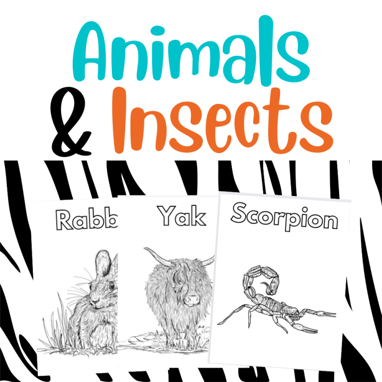 Animals and insects of God's Creation Bible verse printables
