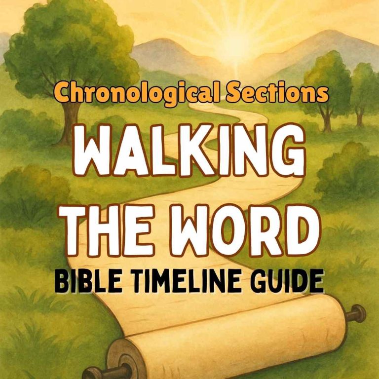 Chronological Bible learning for kids by sections